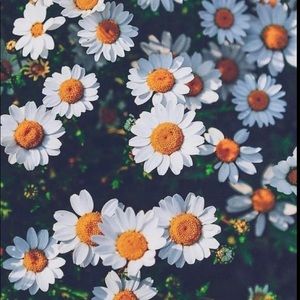 Meet your Posher, Marylee